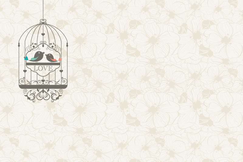 Carta da parati Bird love Carta da parati Bird love