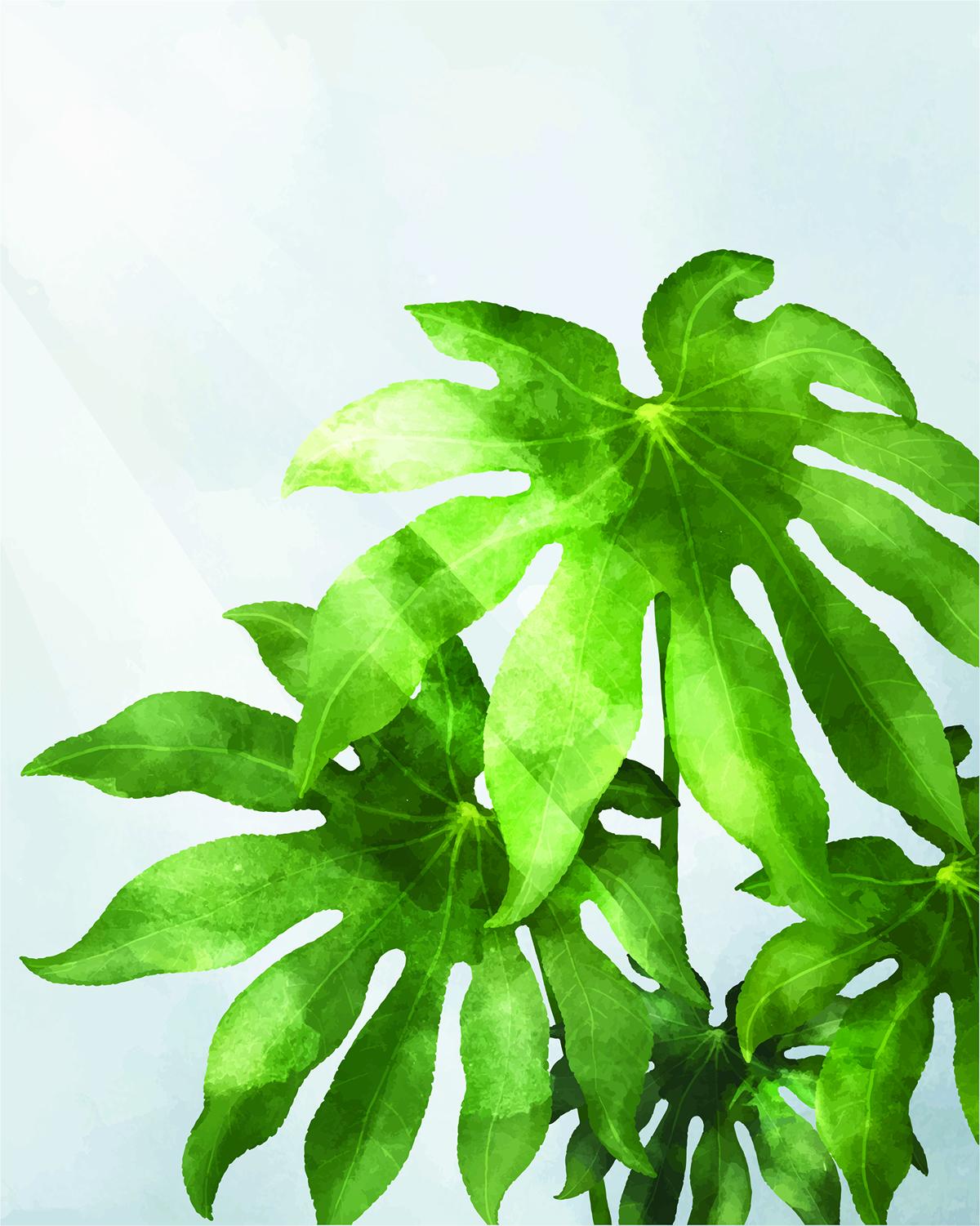 Carta da parati Green