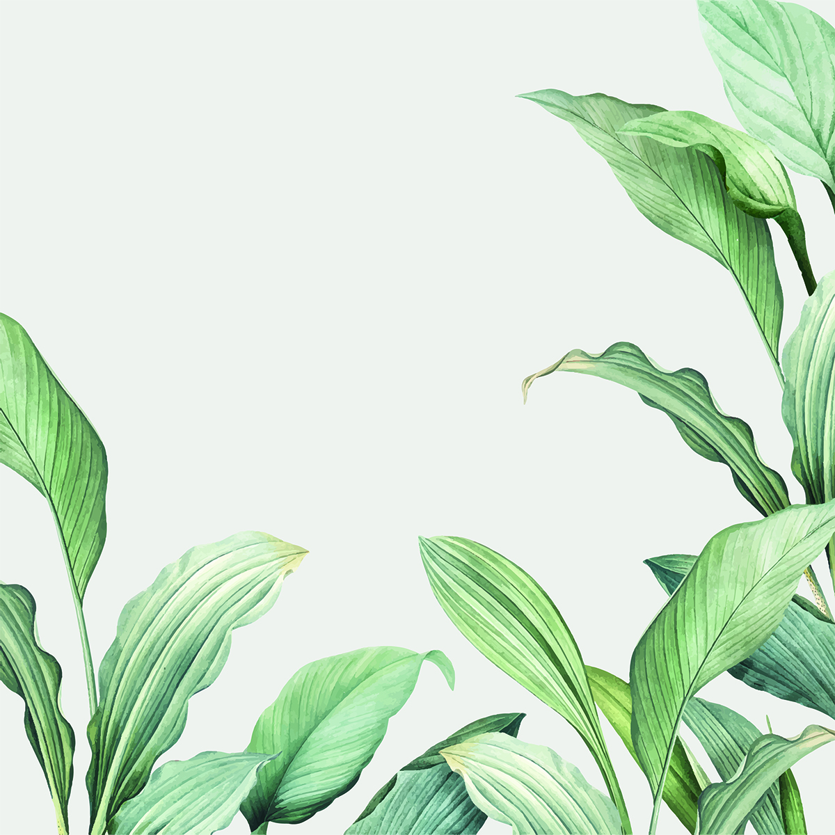 Carta da parati Leaves