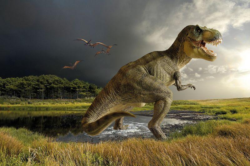 Carta da parati Dinosauro