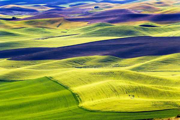 Carta da parati Colline variopinte