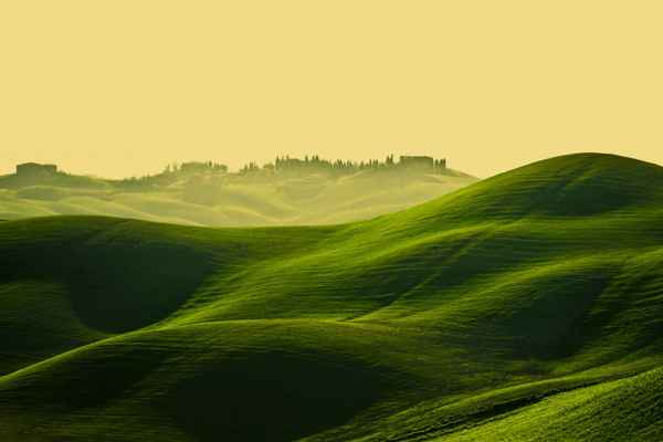Carta da parati Toscana