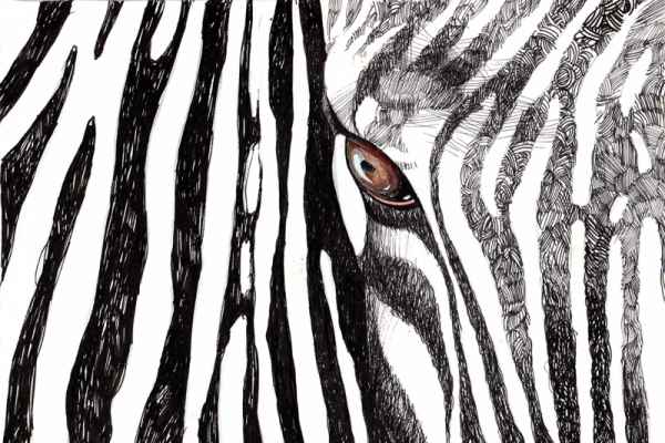 Carta da parati Zebra