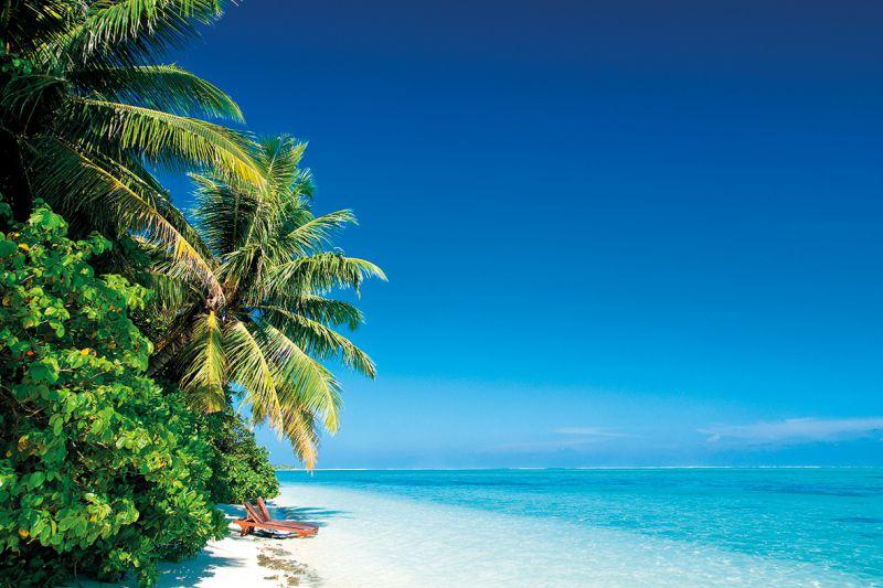 Carta da parati Seychelles