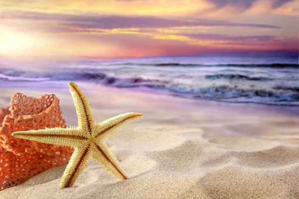 Carta da parati Tropical Beach