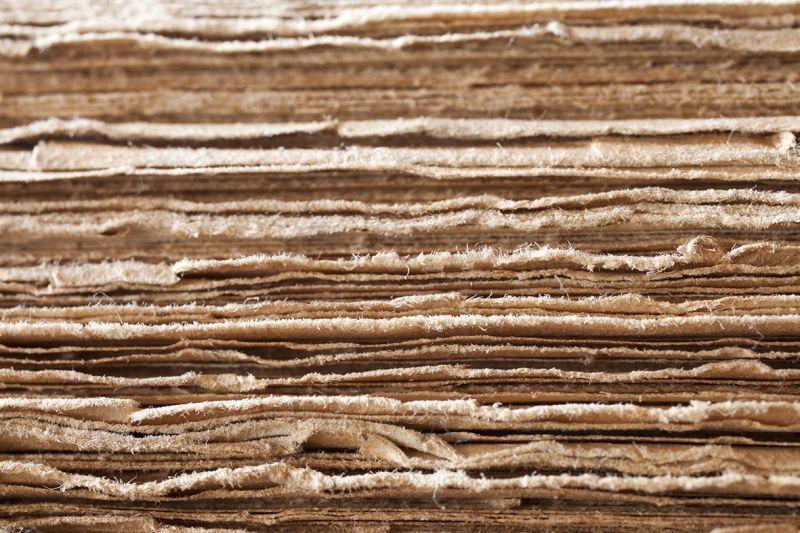 Carta da parati Papiro