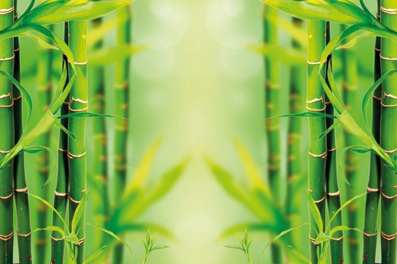 Carta da parati Bamboo Specchiato