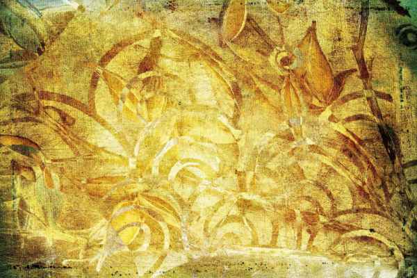 Carta da parati Foresta Astratta