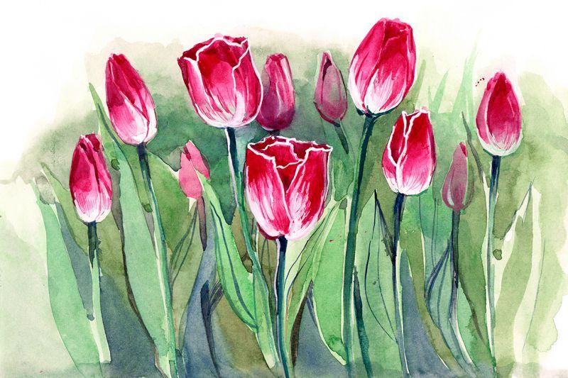 Carta da parati Dipinto di fiori di tulipano