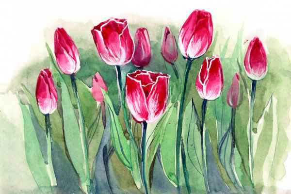 Carta da parati Dipinto di fiori di tulipano
