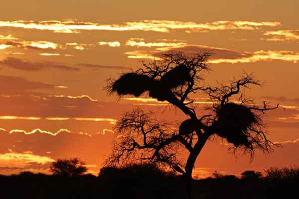 Carta da parati Tramonto nel deserto
