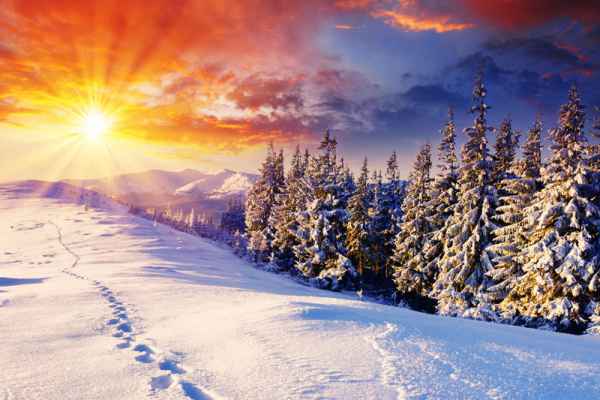 Carta da parati Tramonto d'inverno