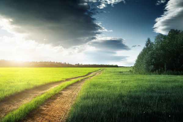 Carta da parati Tramonto in campagna