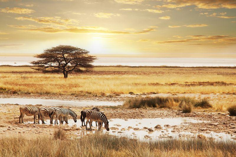 Carta da parati Tramonto in Namibia