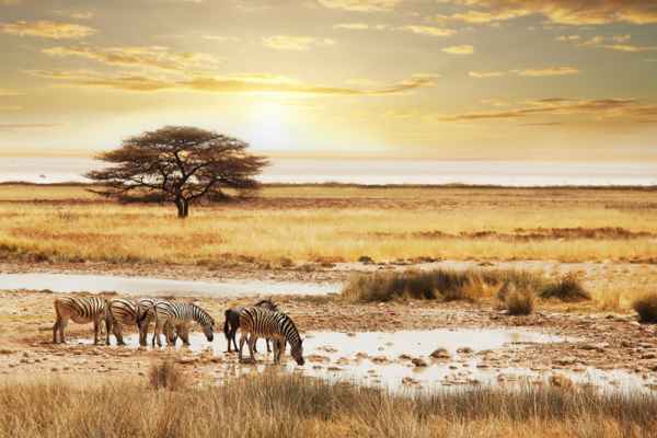 Carta da parati Tramonto in Namibia